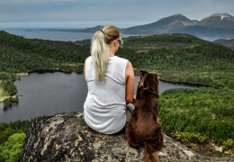 Szkolenie behawioralne psów – co należy o nim wiedzieć?